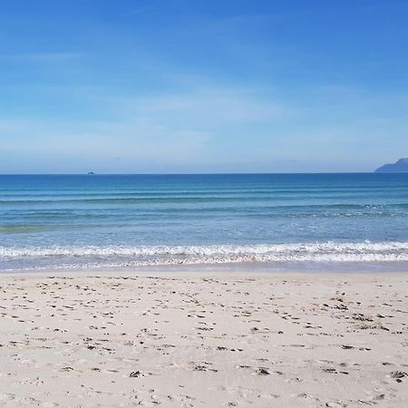 Ideal Property Mallorca - Playasol 알쿠디아 항구 외부 사진
