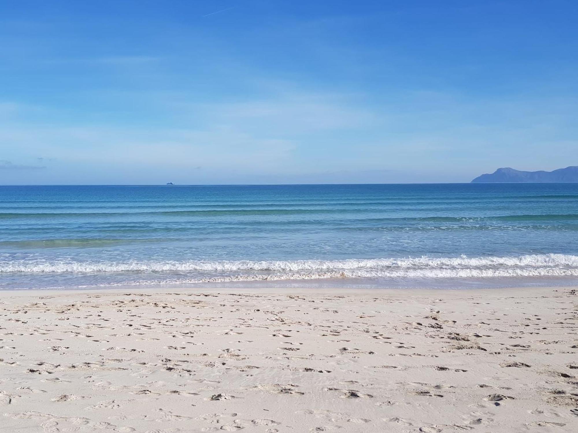Ideal Property Mallorca - Playasol 알쿠디아 항구 외부 사진