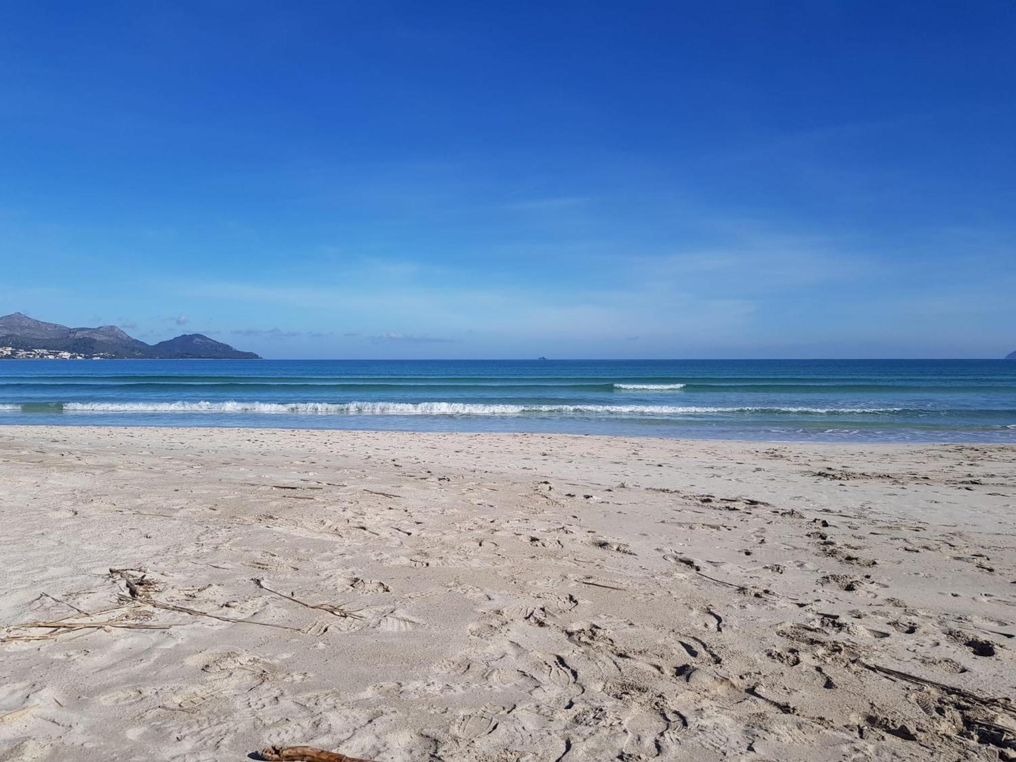 Ideal Property Mallorca - Playasol 알쿠디아 항구 외부 사진